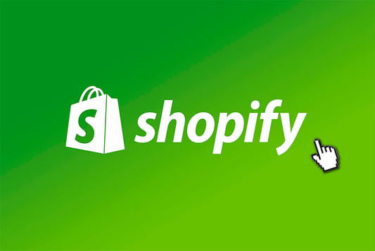 SITIO WEB DROPSHIPPING